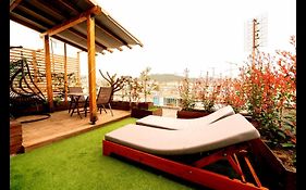 Alexander Golden View Serres